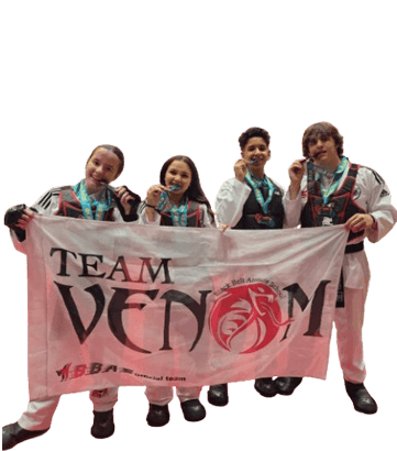 Adult Martial Arts Taekwondo Karate