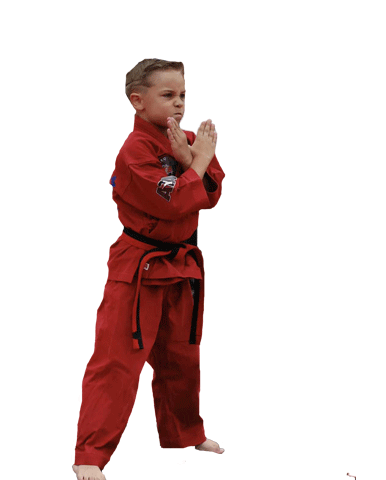 xtreme martial arts